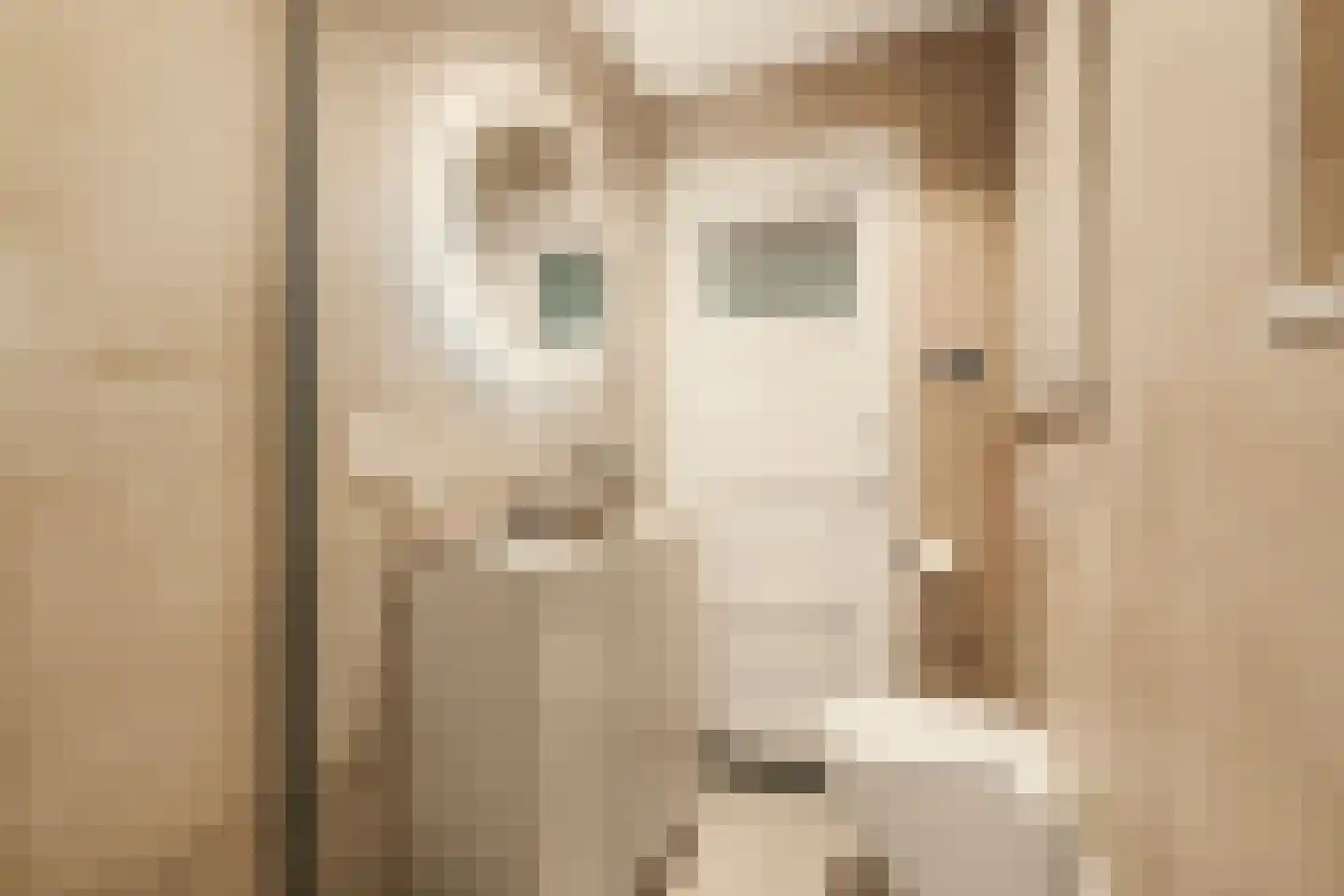 Willem de Zwijgerlaan 100 1 Amsterdam thumbnail 16