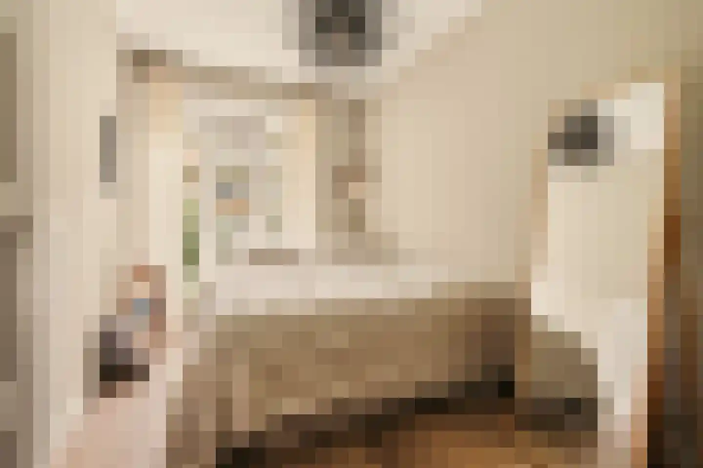 Willem de Zwijgerlaan 100 1 Amsterdam thumbnail 19