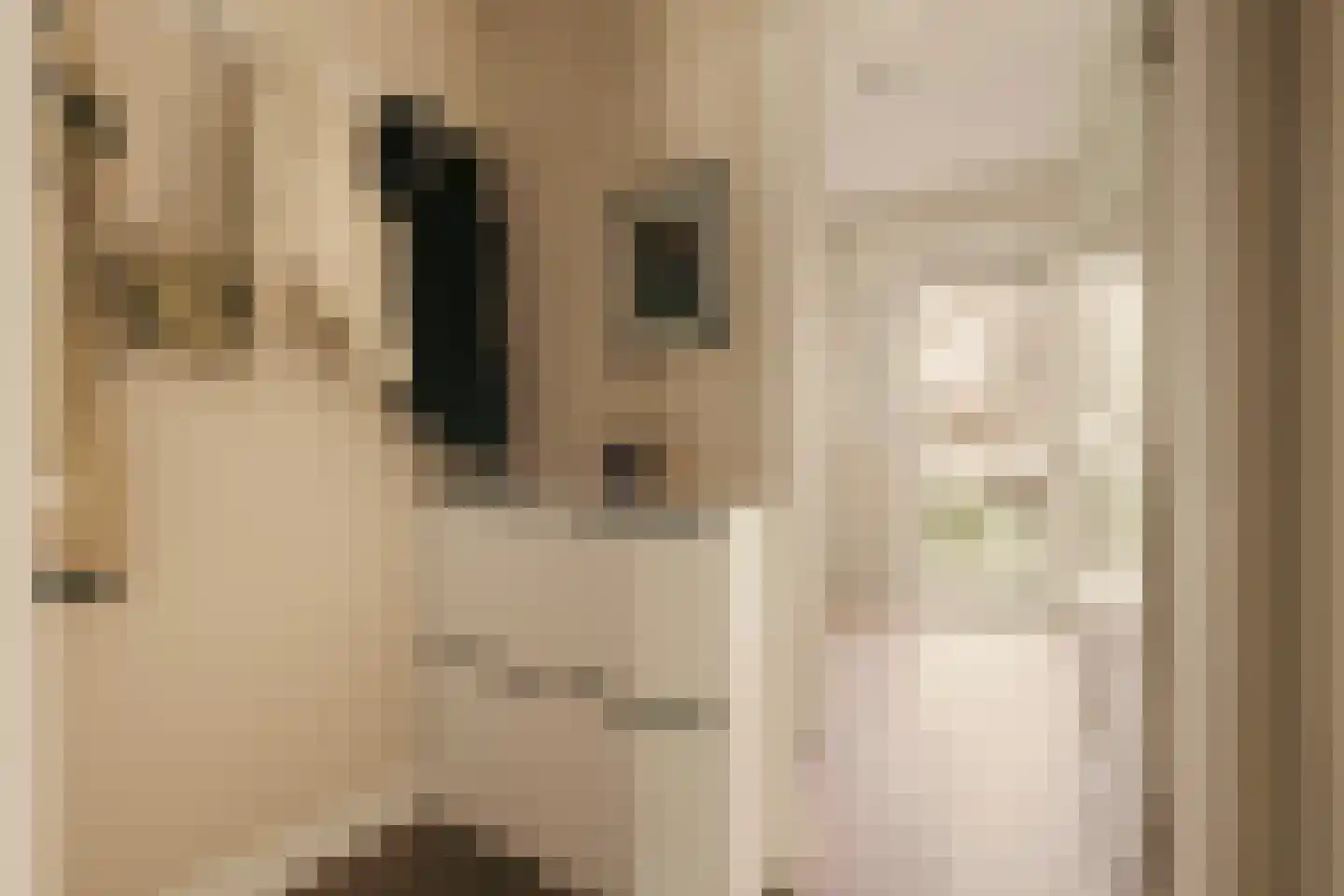 Willem de Zwijgerlaan 100 1 Amsterdam thumbnail 21