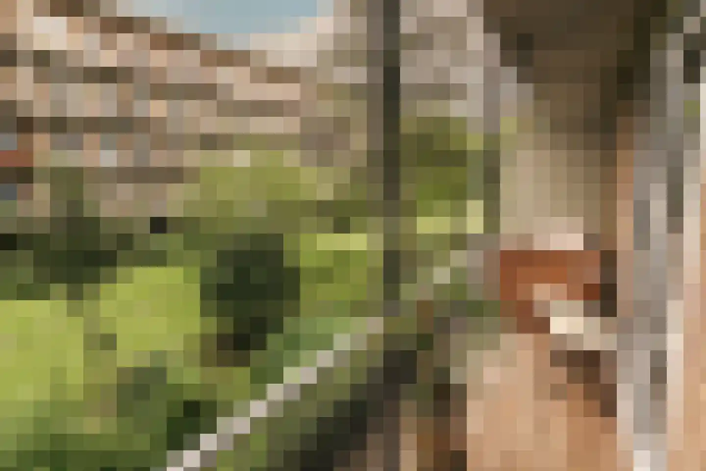 Willem de Zwijgerlaan 100 1 Amsterdam thumbnail 23