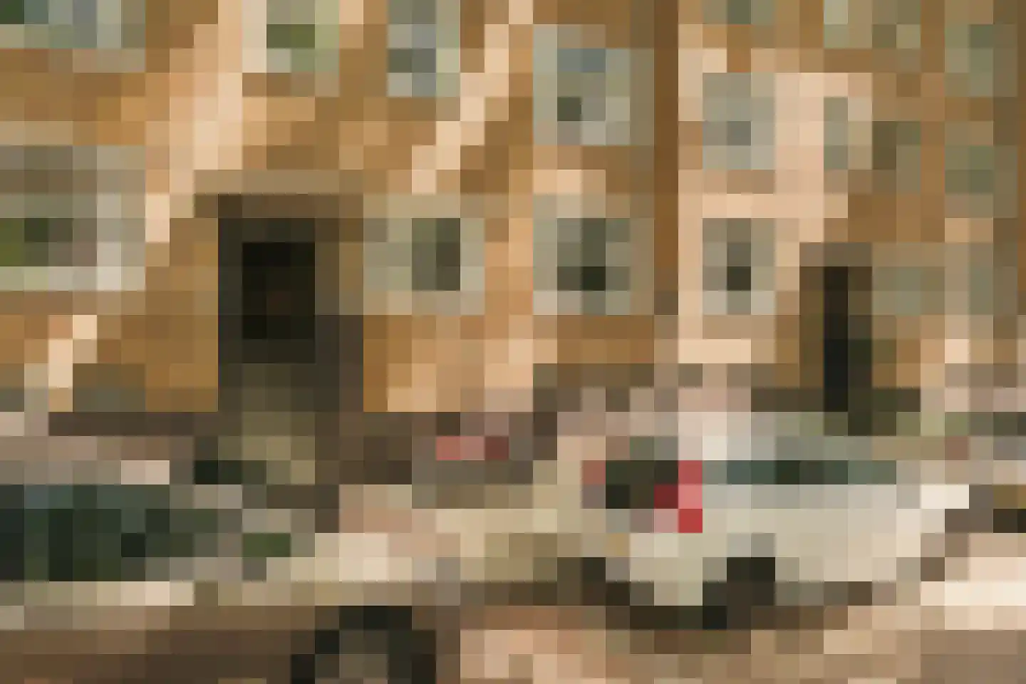 Willem de Zwijgerlaan 100 1 Amsterdam thumbnail 28