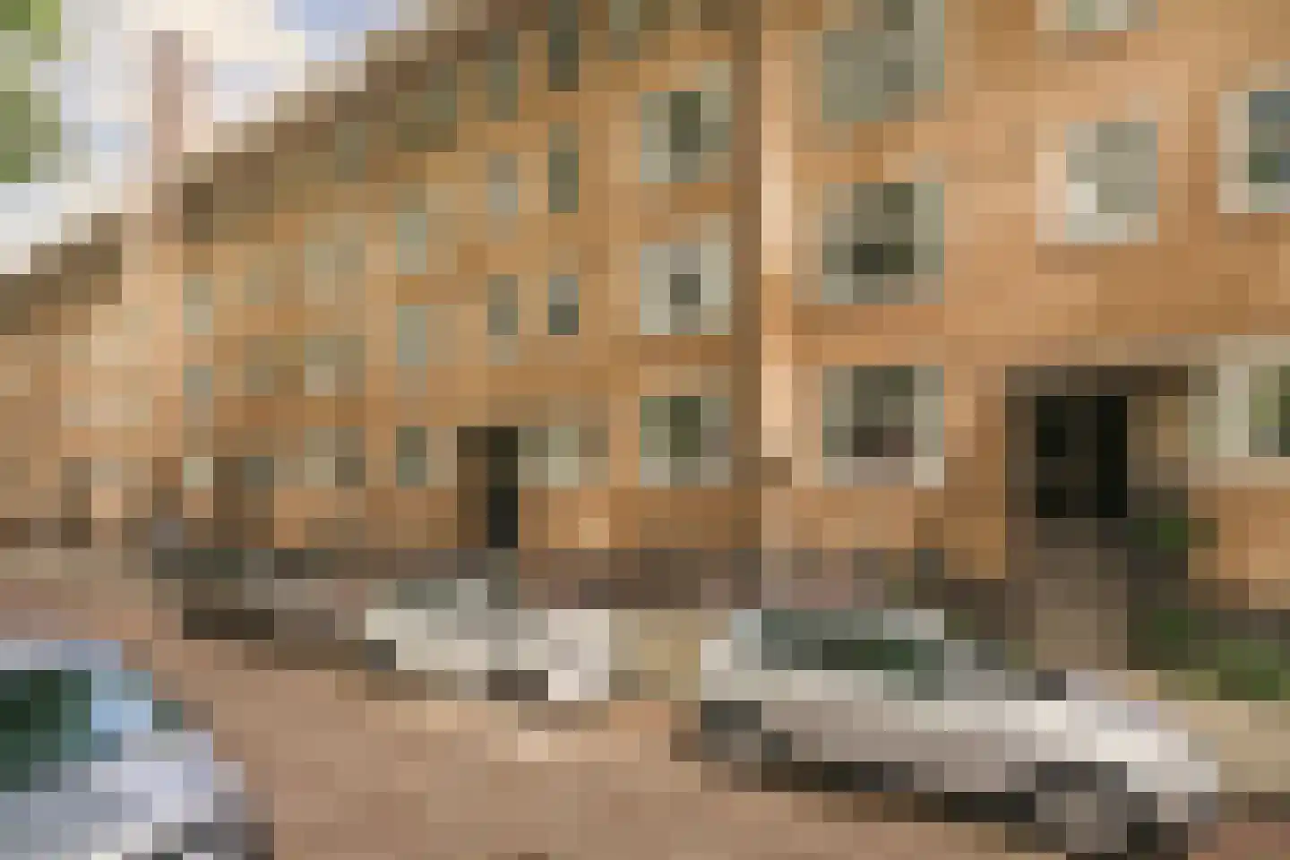Willem de Zwijgerlaan 100 1 Amsterdam thumbnail 29
