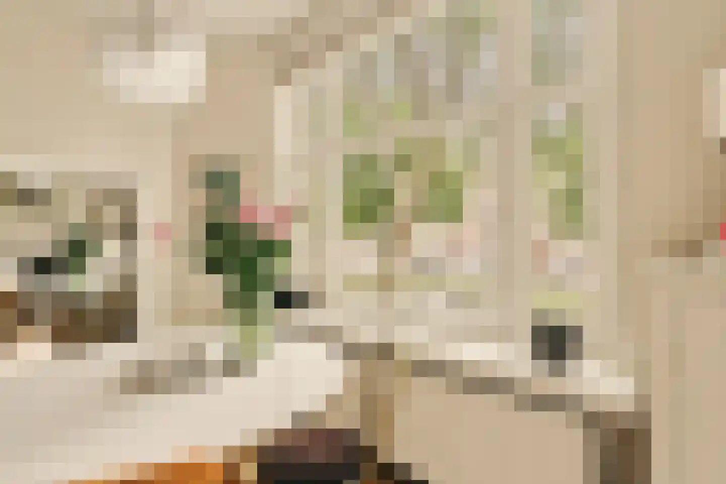 Willem de Zwijgerlaan 100 1 Amsterdam thumbnail 8