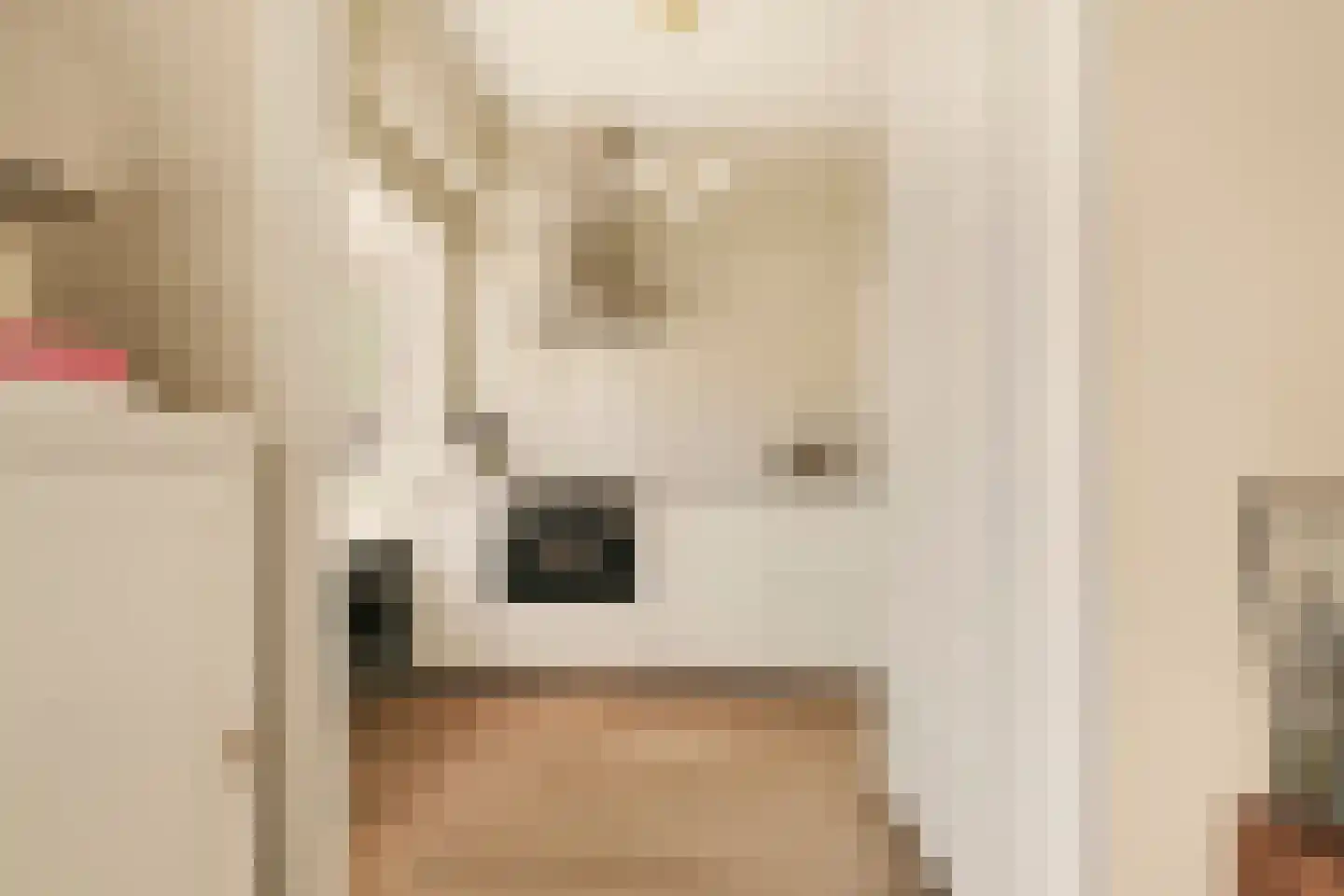 Willem de Zwijgerlaan 100 1 Amsterdam thumbnail 9