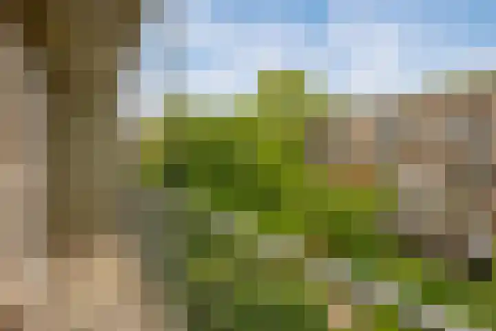 Willem de Zwijgerlaan 100 3 Amsterdam thumbnail 18