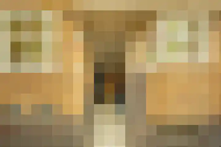 Willem de Zwijgerlaan 100 3 Amsterdam thumbnail 21