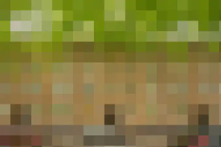 Willem de Zwijgerlaan 100 3 Amsterdam thumbnail 28