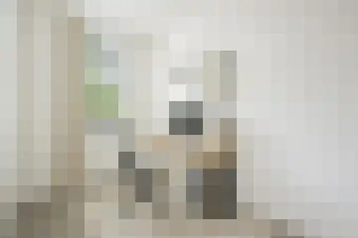 Willem de Zwijgerlaan 100 3 Amsterdam thumbnail 5