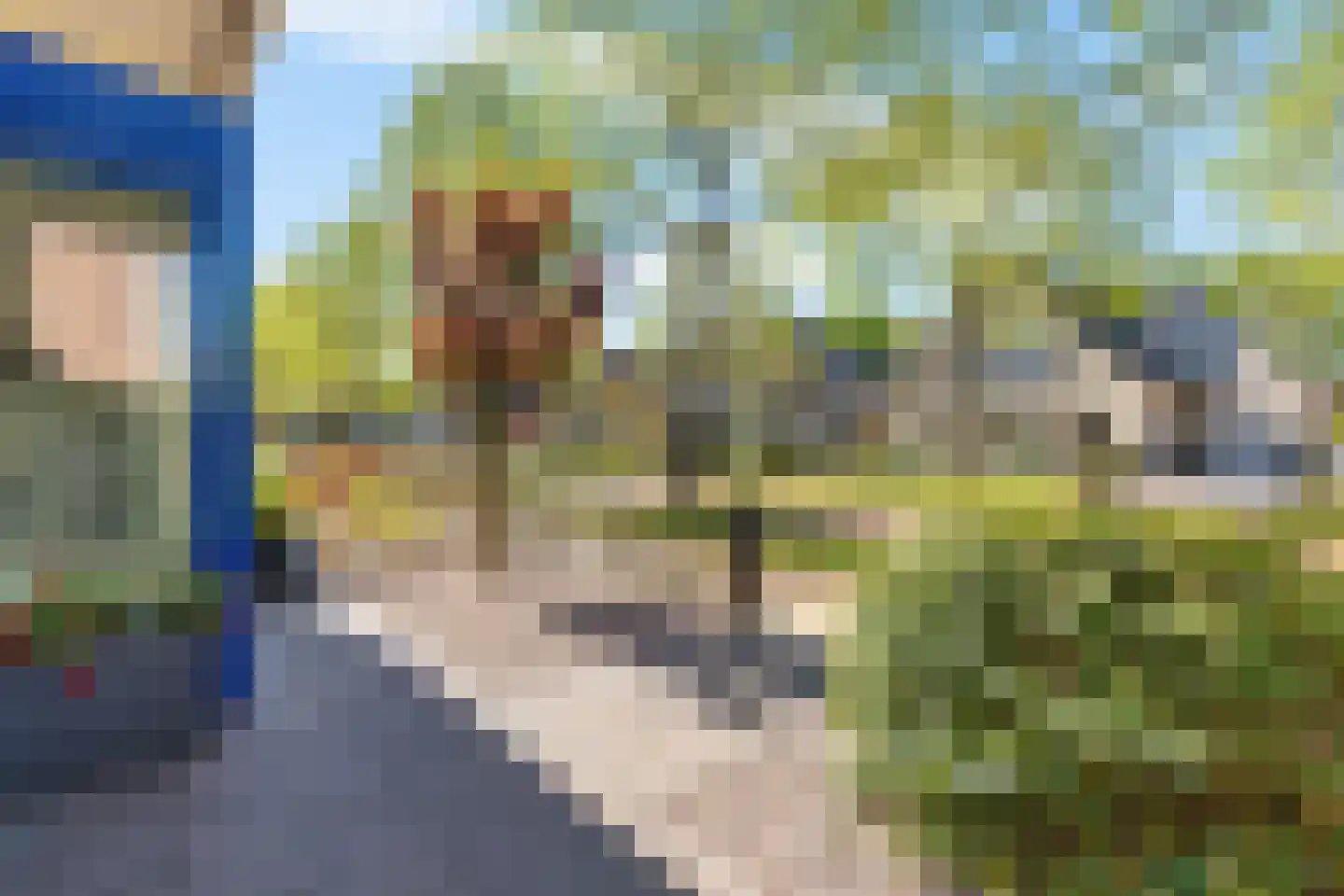 Willem de Zwijgerlaan 103 Heerenveen thumbnail 5