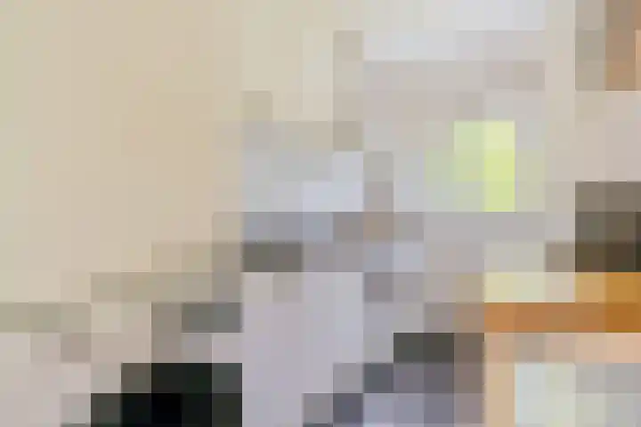 Willem de Zwijgerlaan 104 2 Amsterdam thumbnail 12