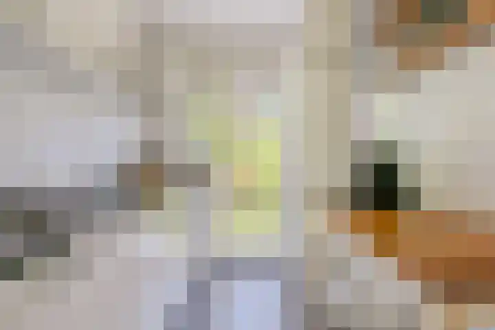 Willem de Zwijgerlaan 104 2 Amsterdam thumbnail 13