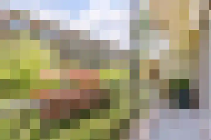 Willem de Zwijgerlaan 104 2 Amsterdam thumbnail 16