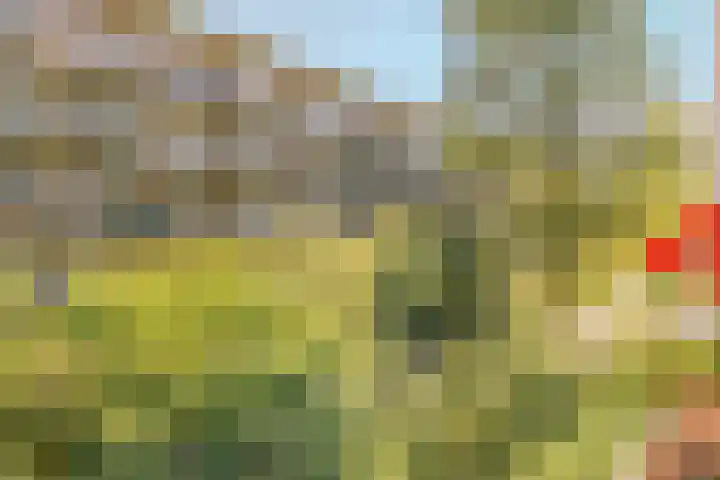 Willem de Zwijgerlaan 104 2 Amsterdam thumbnail 18