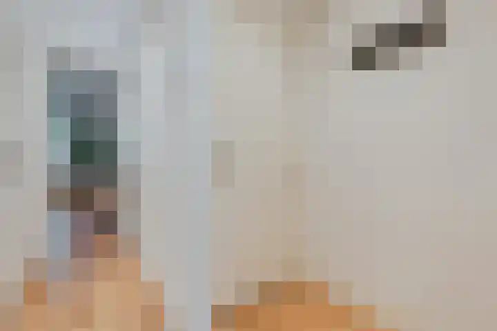 Willem de Zwijgerlaan 104 2 Amsterdam thumbnail 20