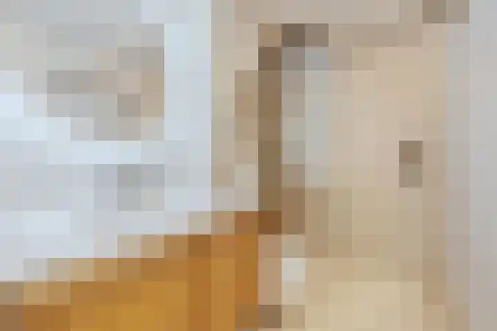Willem de Zwijgerlaan 104 2 Amsterdam thumbnail 24