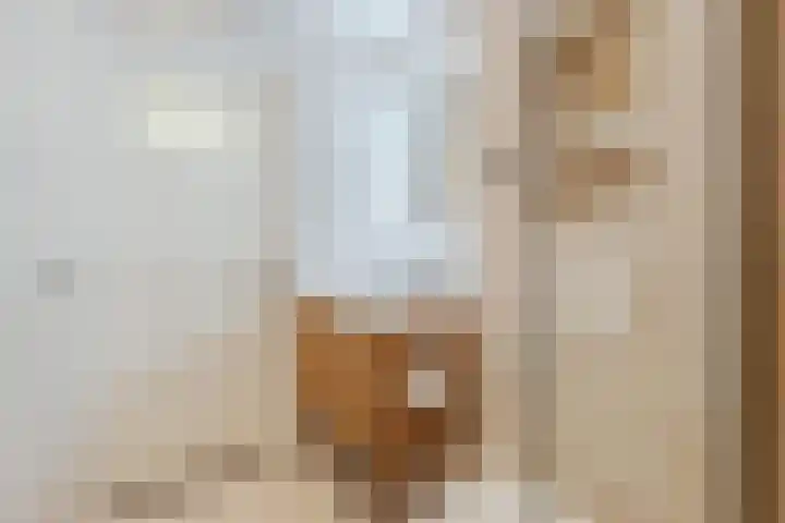 Willem de Zwijgerlaan 104 2 Amsterdam thumbnail 25