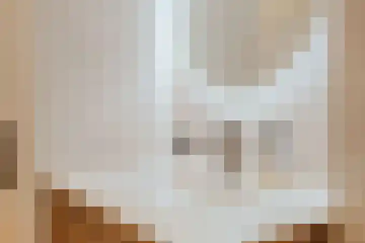 Willem de Zwijgerlaan 104 2 Amsterdam thumbnail 26