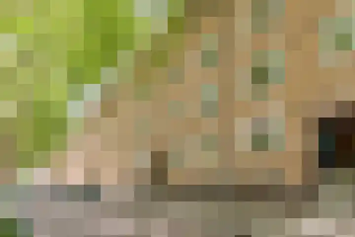 Willem de Zwijgerlaan 104 2 Amsterdam thumbnail 30