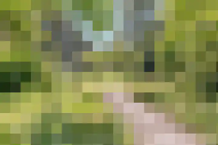 Willem de Zwijgerlaan 104 2 Amsterdam thumbnail 32