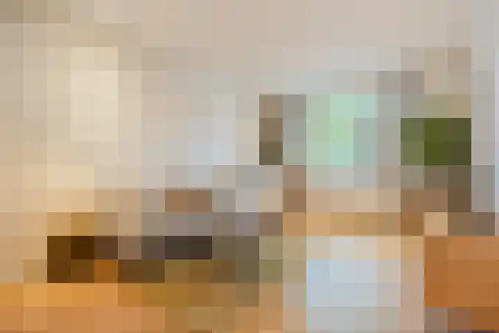 Willem de Zwijgerlaan 104 2 Amsterdam thumbnail 39