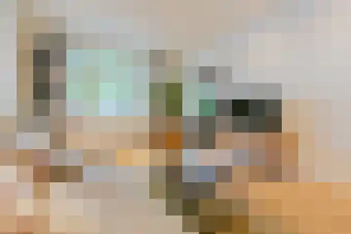 Willem de Zwijgerlaan 104 2 Amsterdam thumbnail 4