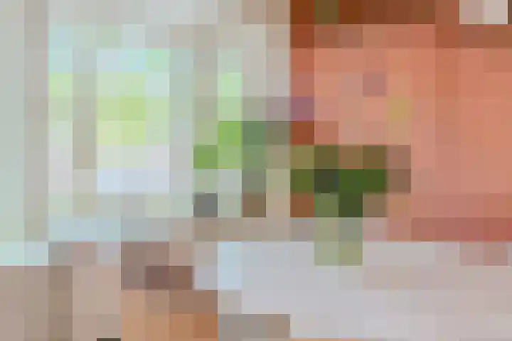 Willem de Zwijgerlaan 104 2 Amsterdam thumbnail 8