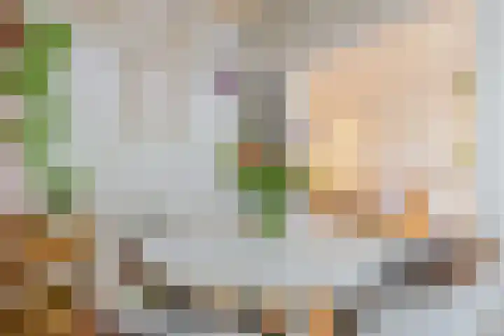 Willem de Zwijgerlaan 104 2 Amsterdam thumbnail 9