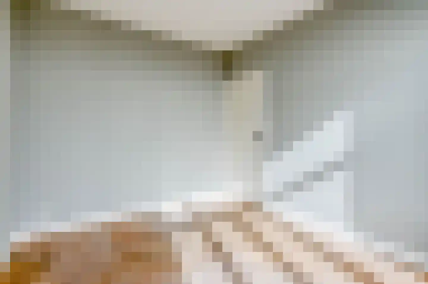 Willem de Zwijgerlaan 104 A Den Haag thumbnail 34