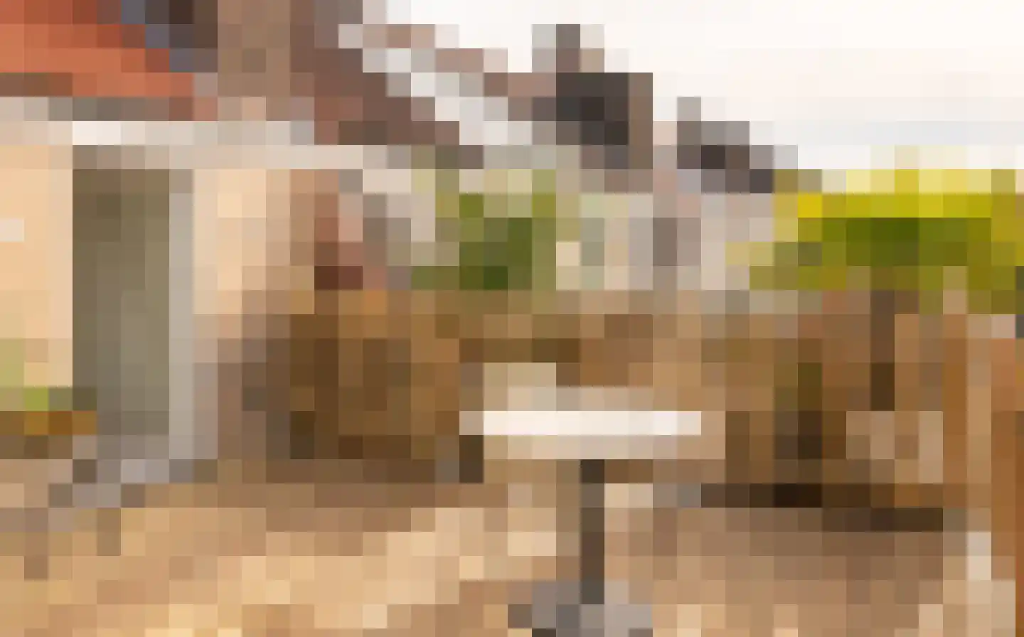 Willem de Zwijgerlaan 107 1 Amsterdam thumbnail 12