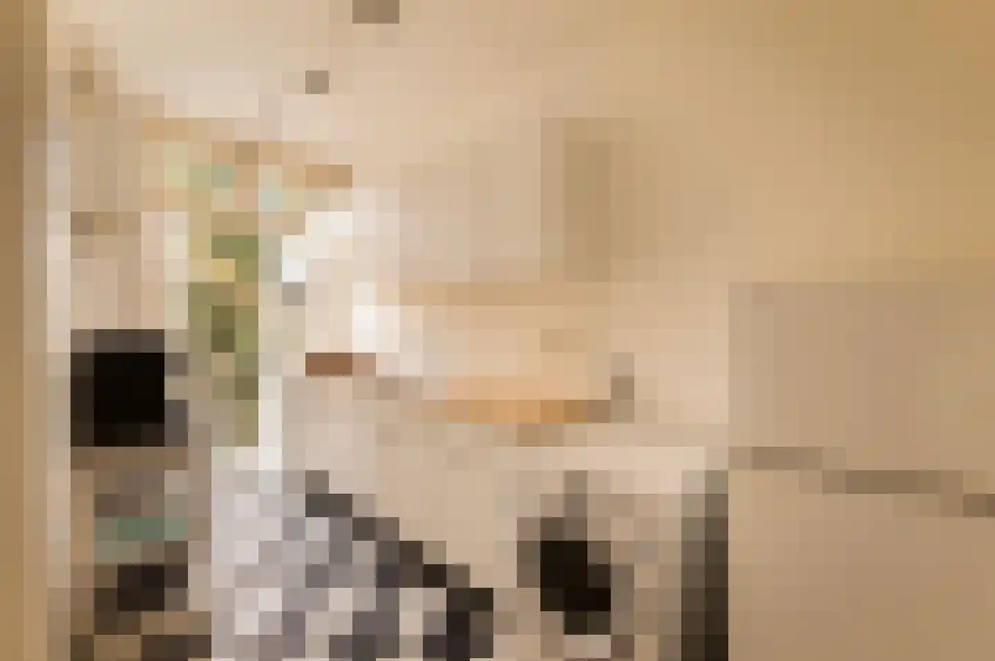 Willem de Zwijgerlaan 107 1 Amsterdam thumbnail 28