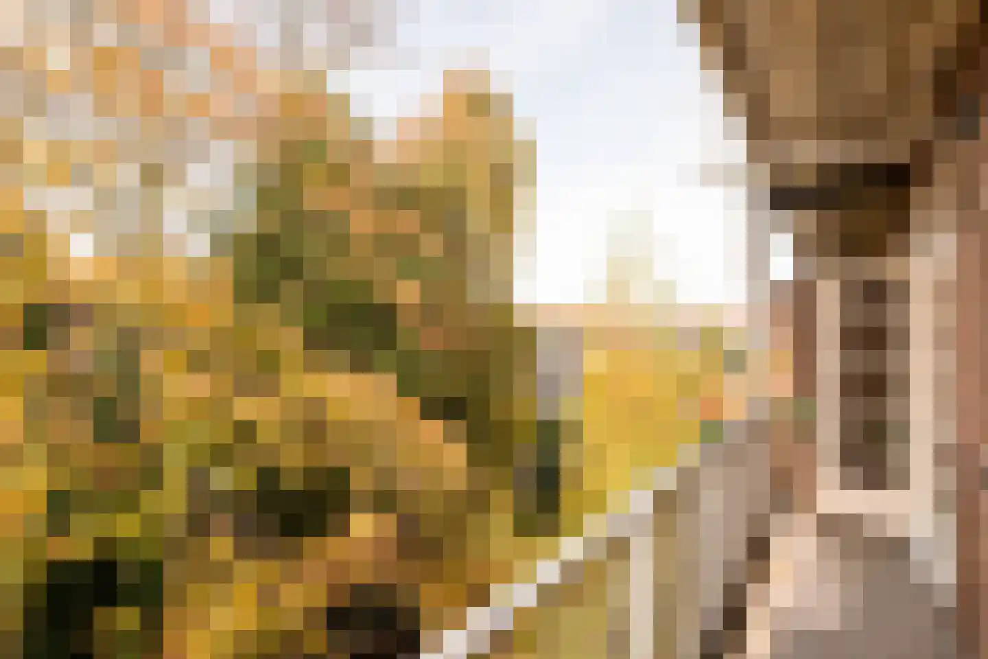 Willem de Zwijgerlaan 107 1 Amsterdam thumbnail 30