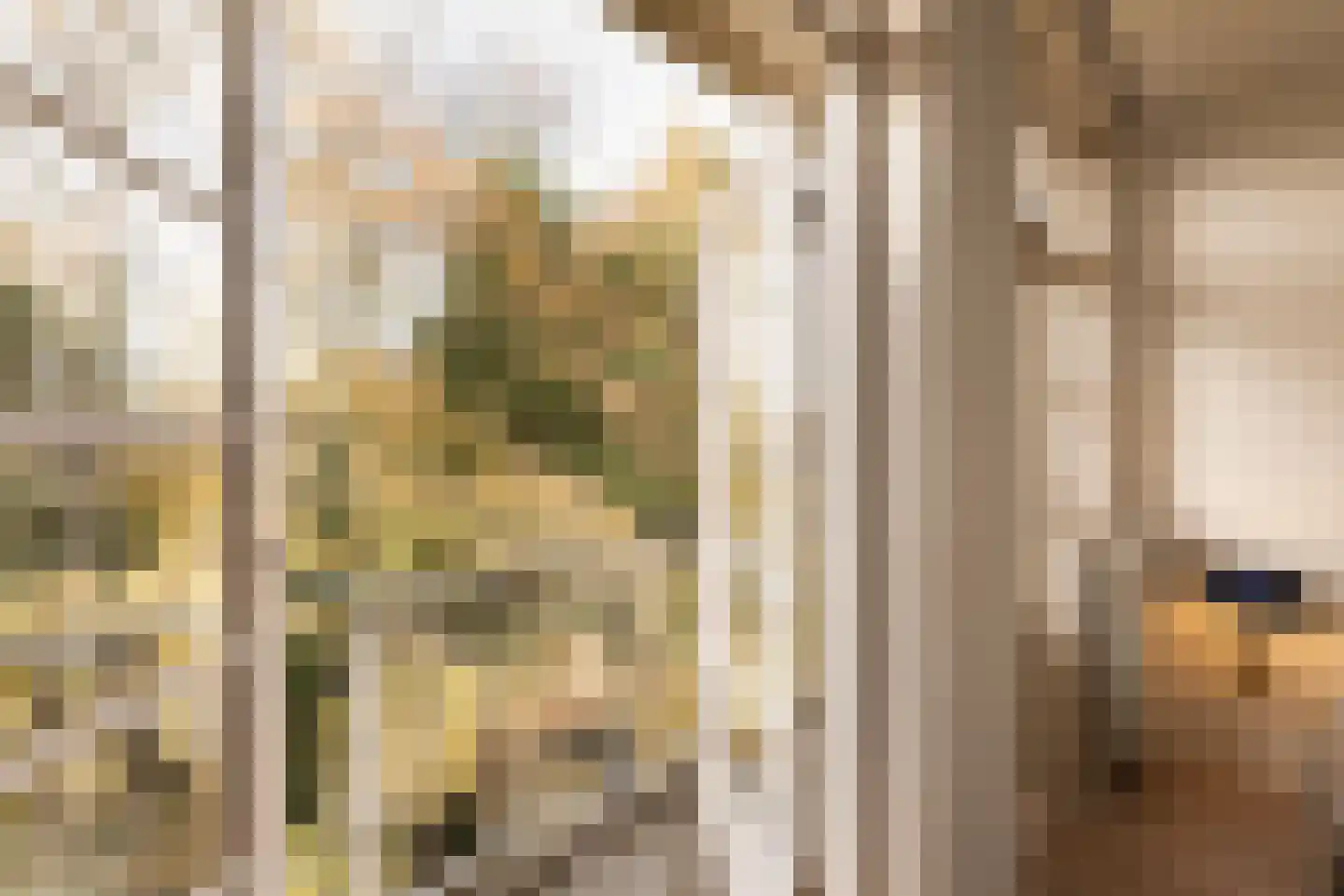 Willem de Zwijgerlaan 107 1 Amsterdam thumbnail 32