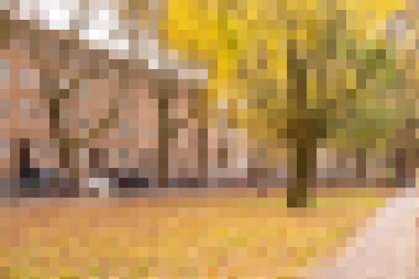 Willem de Zwijgerlaan 107 1 Amsterdam thumbnail 38