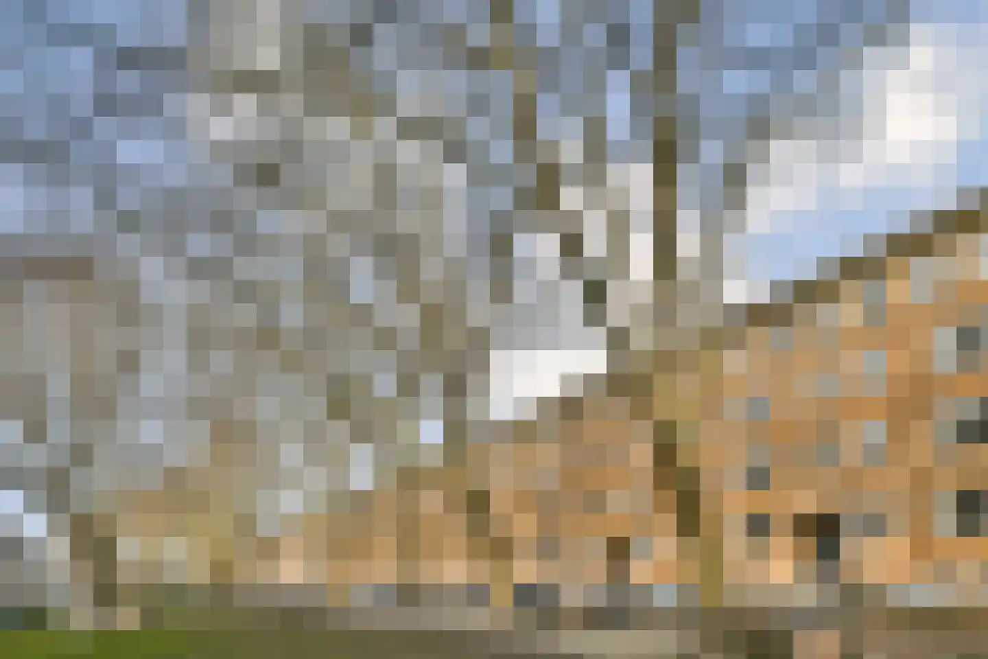 Willem de Zwijgerlaan 108 2 Amsterdam thumbnail 25