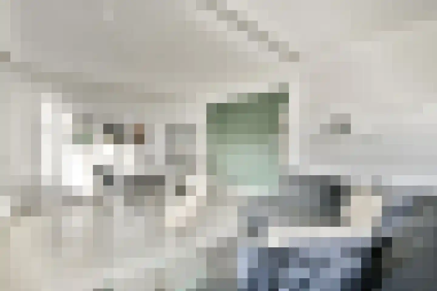 Willem de Zwijgerlaan 108 2 Amsterdam thumbnail 4