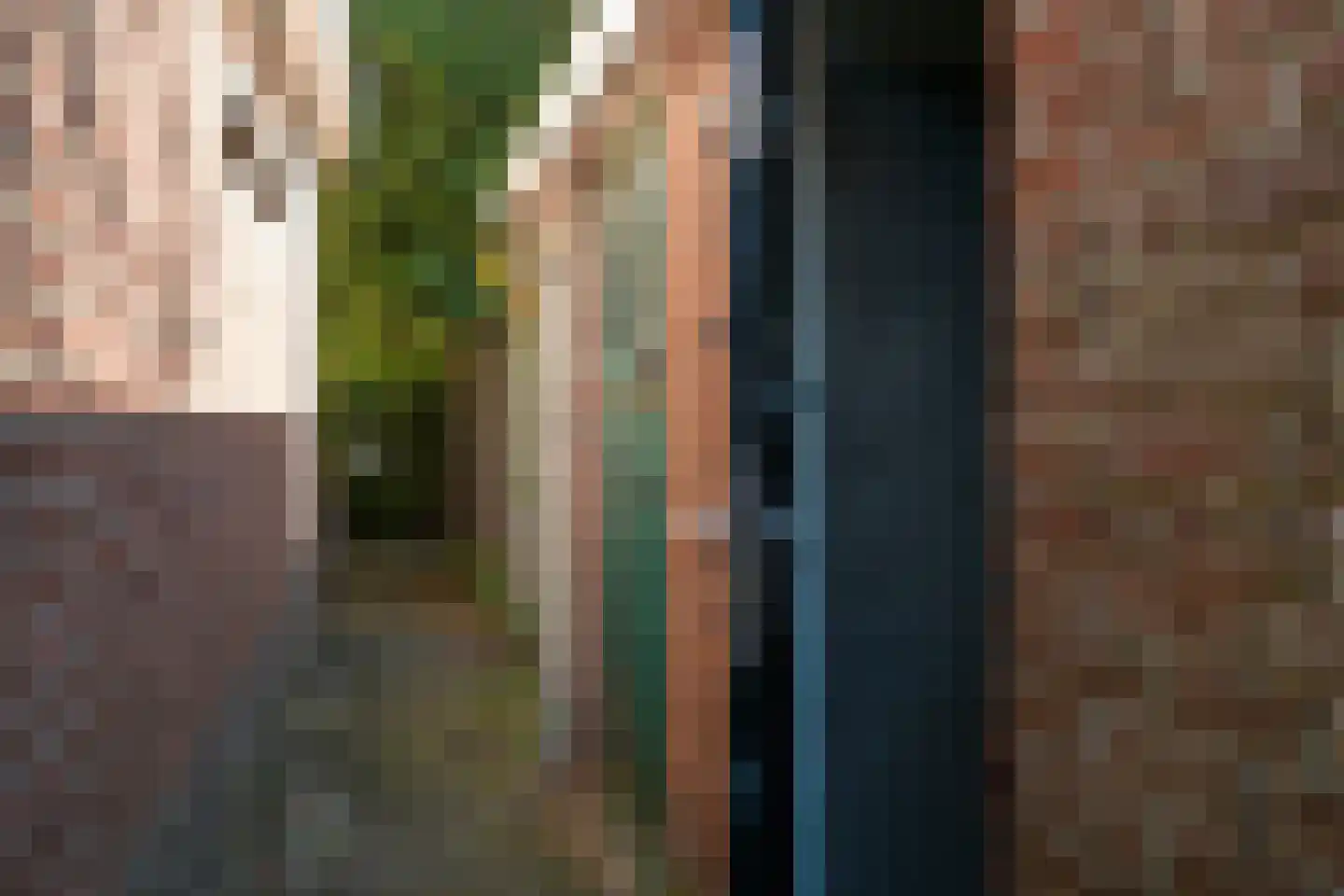 Willem de Zwijgerlaan 11 A Den Haag thumbnail 10