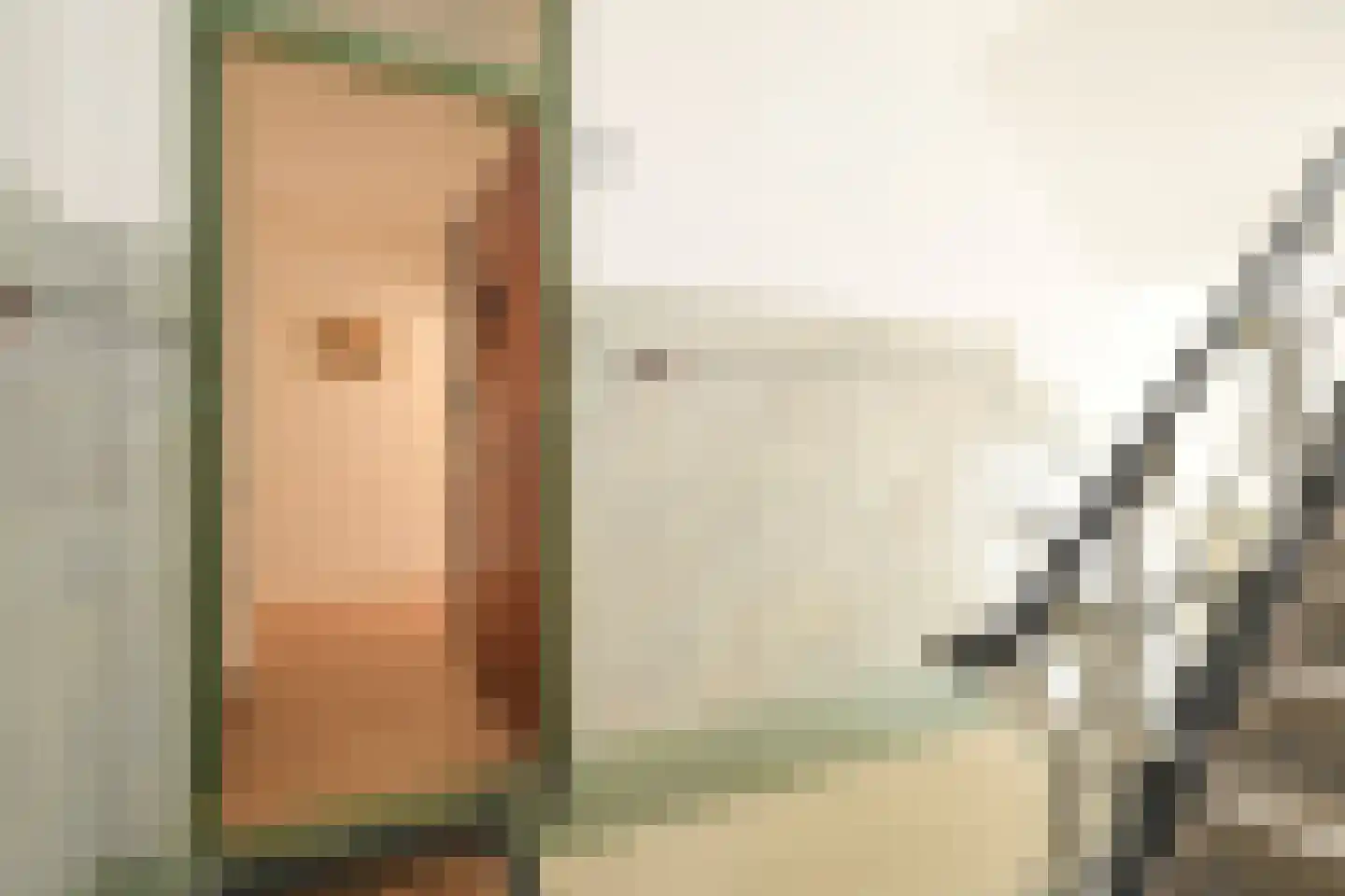 Willem de Zwijgerlaan 11 A Den Haag thumbnail 22
