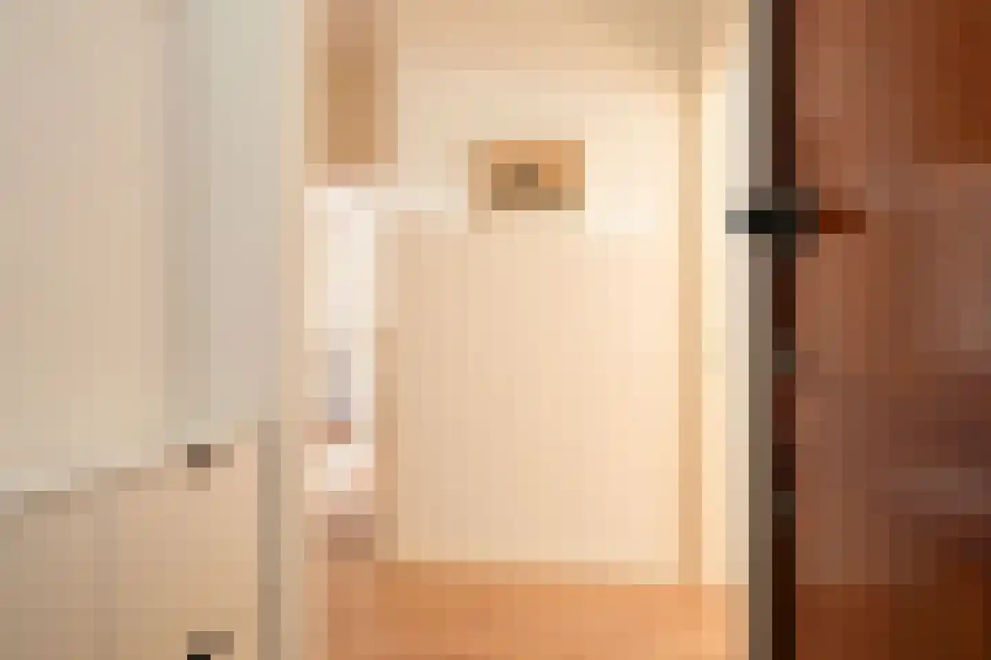 Willem de Zwijgerlaan 11 A Den Haag thumbnail 23
