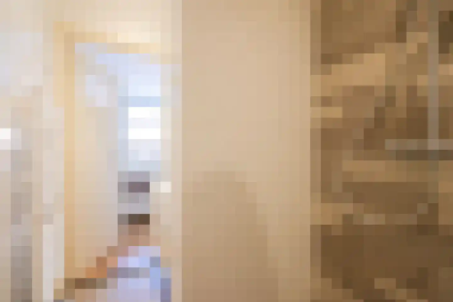 Willem de Zwijgerlaan 11 A Den Haag thumbnail 30