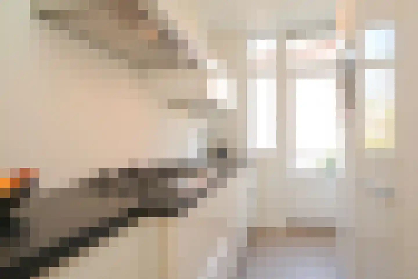 Willem de Zwijgerlaan 11 A Den Haag thumbnail 31