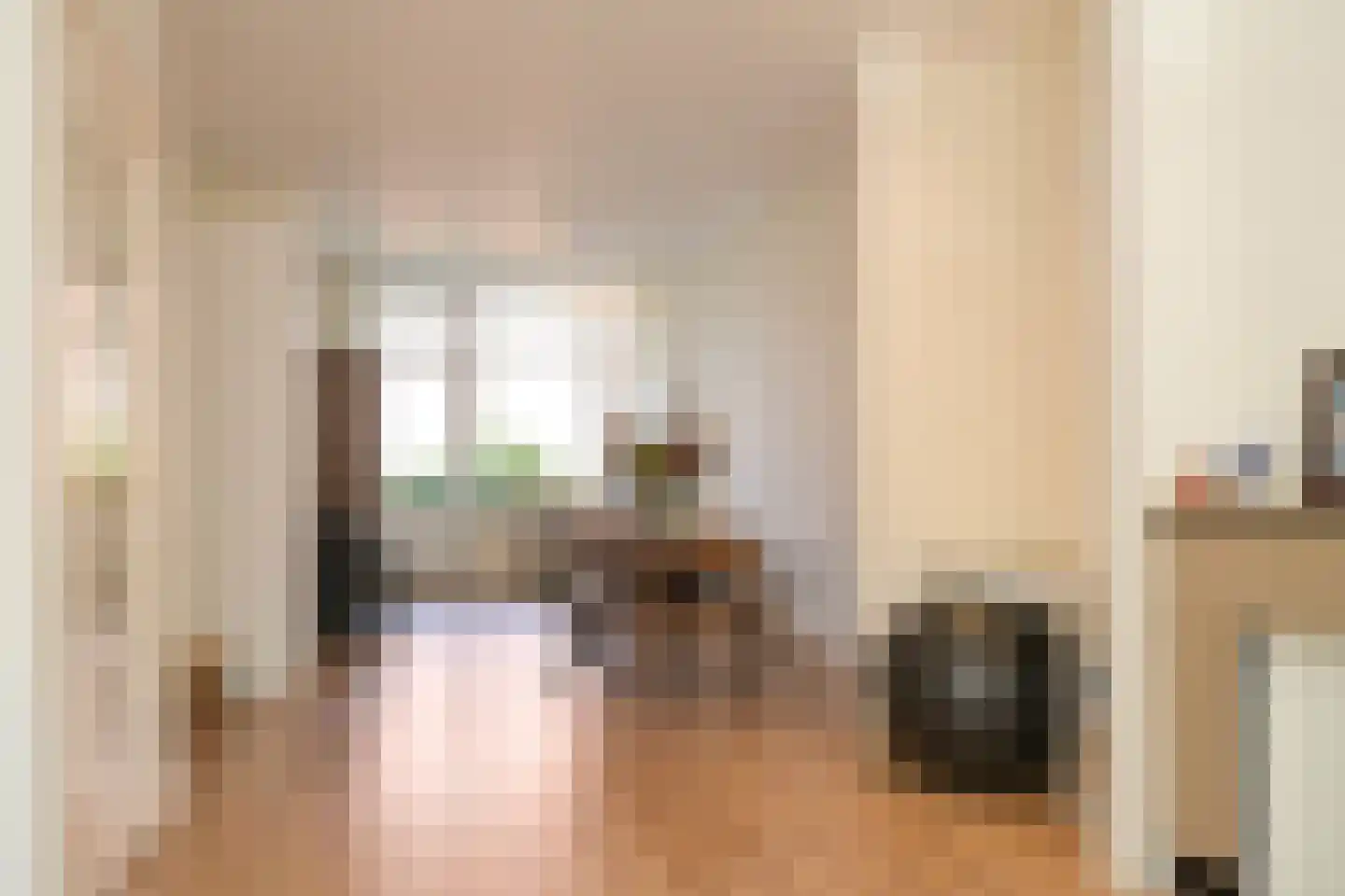 Willem de Zwijgerlaan 11 A Den Haag thumbnail 39