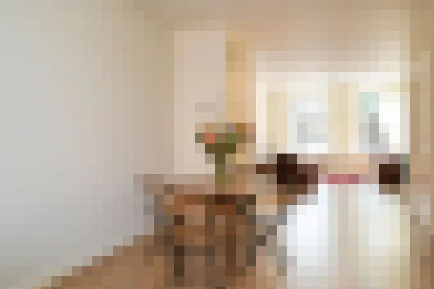 Willem de Zwijgerlaan 11 A Den Haag thumbnail 42