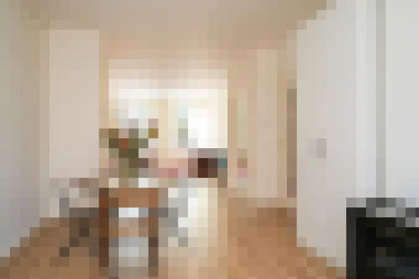 Willem de Zwijgerlaan 11 A Den Haag thumbnail 43