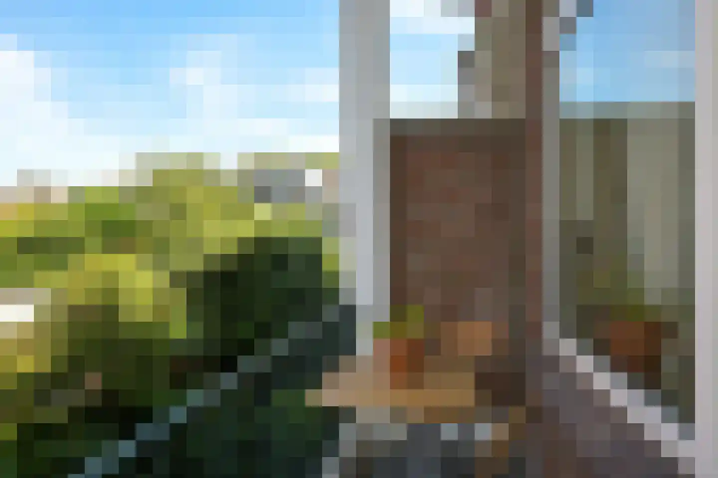 Willem de Zwijgerlaan 11 A Den Haag thumbnail 45