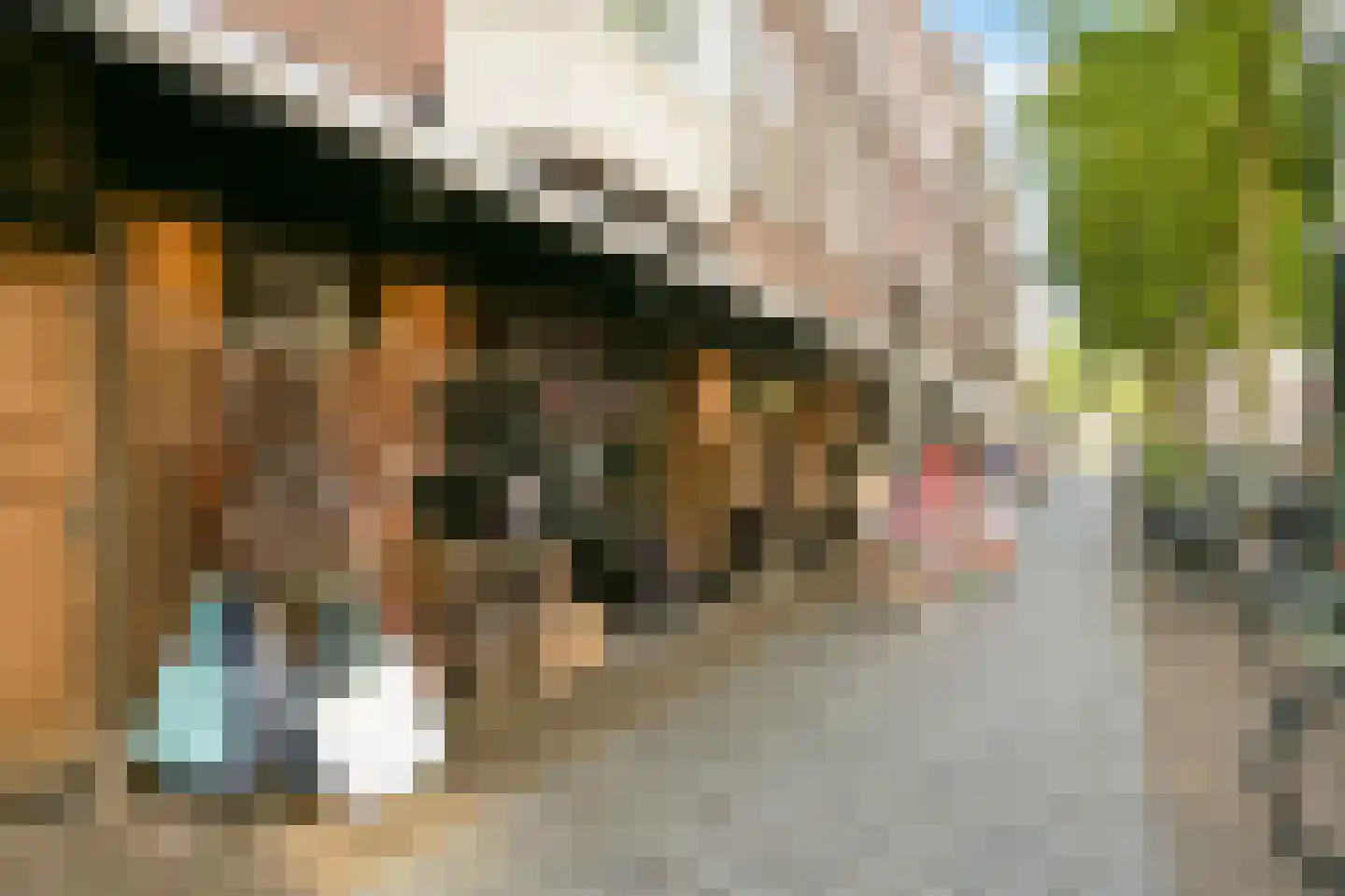 Willem de Zwijgerlaan 11 A Den Haag thumbnail 47