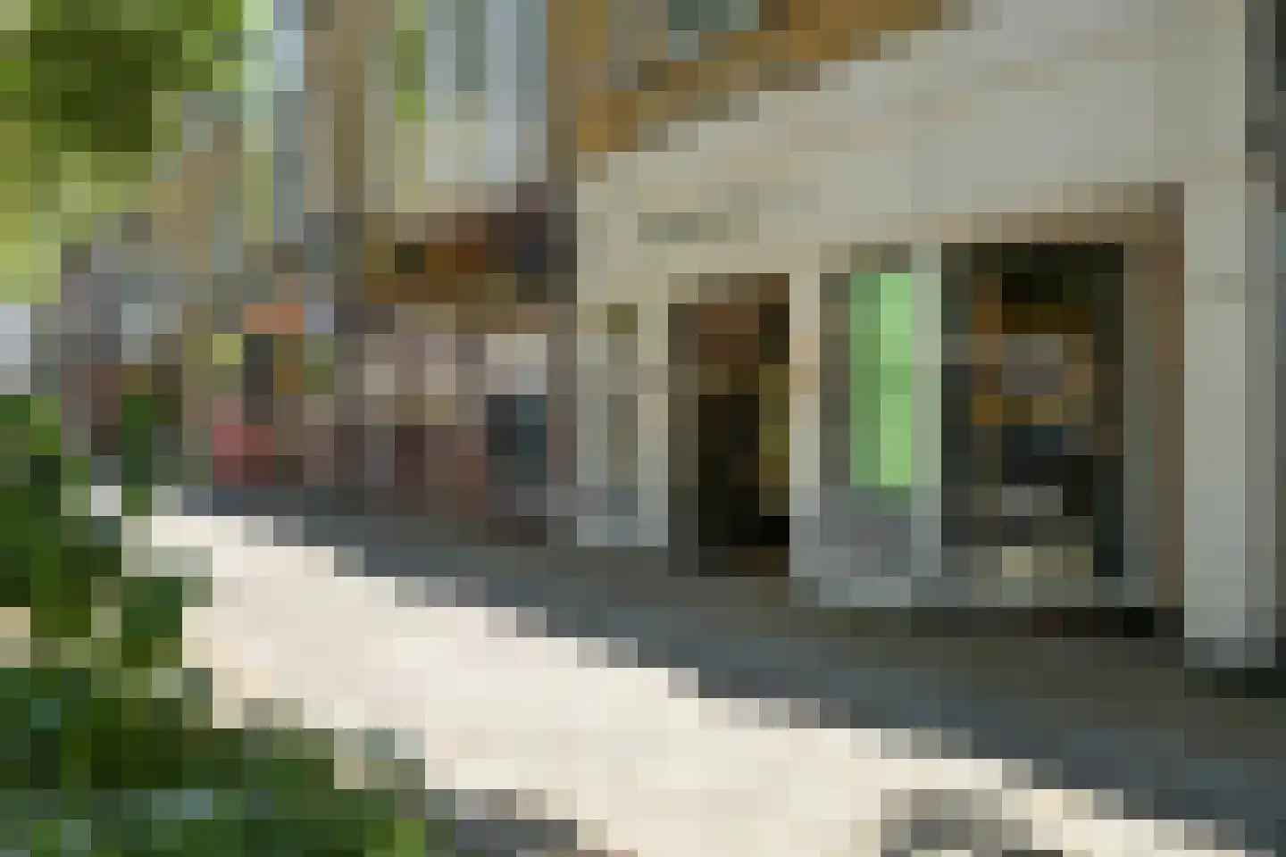 Willem de Zwijgerlaan 11 A Den Haag thumbnail 50