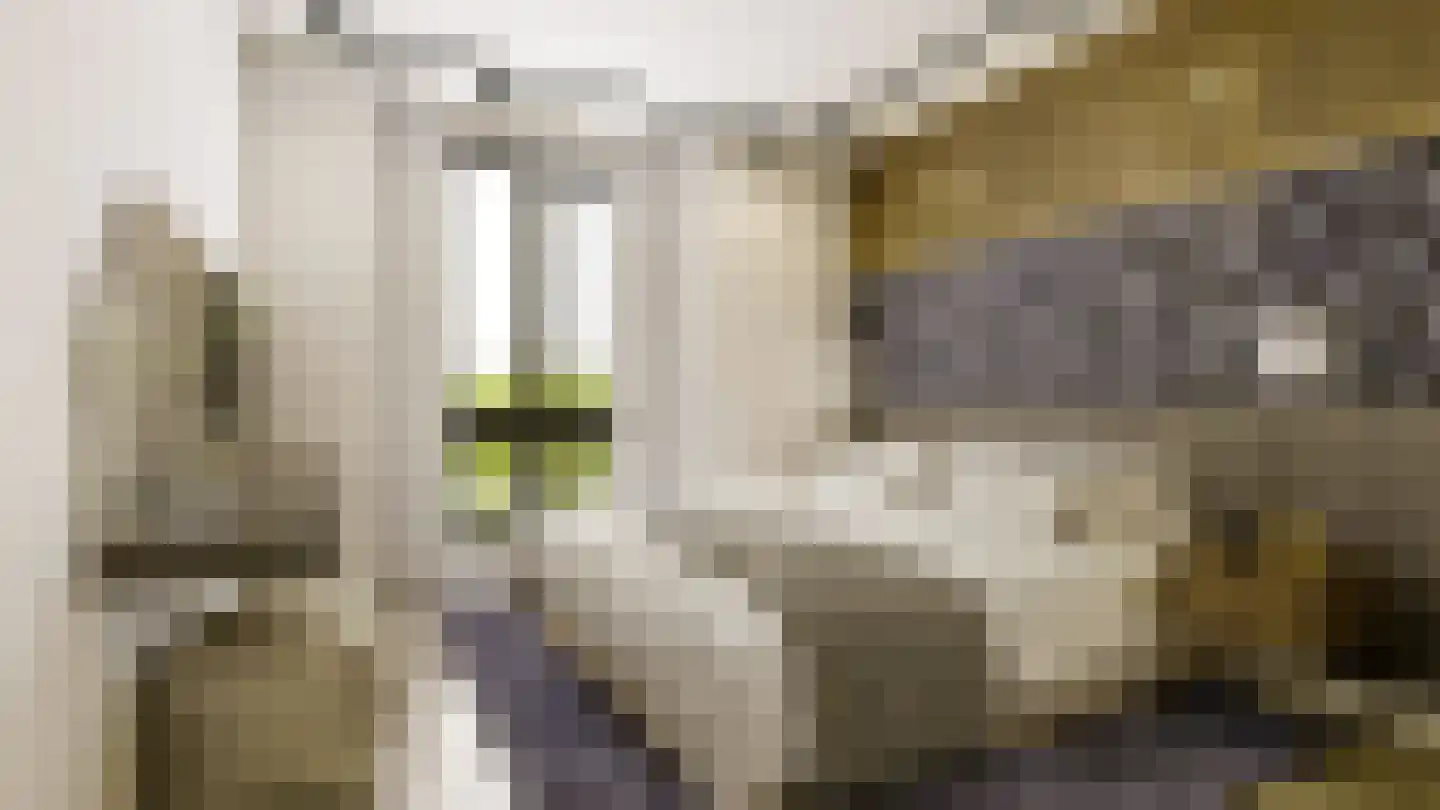 Willem de Zwijgerlaan 11 Zeist thumbnail 10