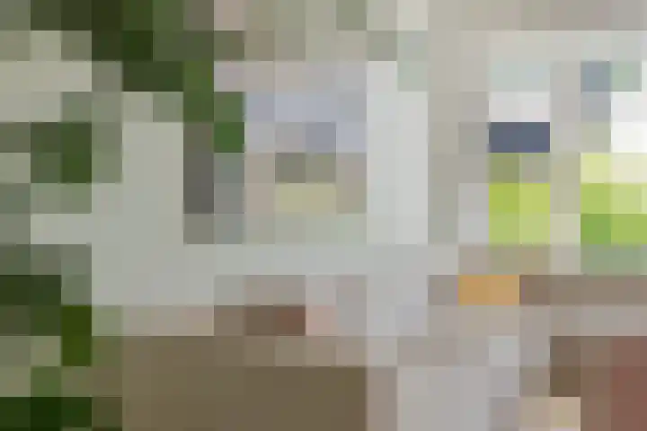 Willem de Zwijgerlaan 110 Overveen thumbnail 10