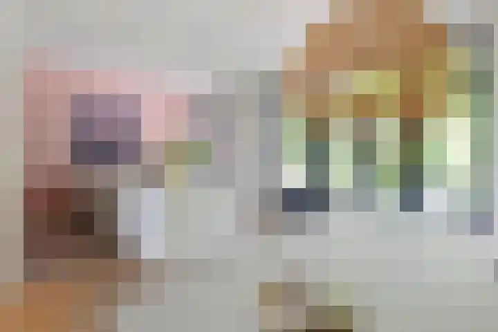 Willem de Zwijgerlaan 110 Overveen thumbnail 14