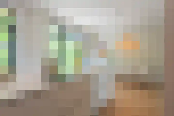 Willem de Zwijgerlaan 110 Overveen thumbnail 20